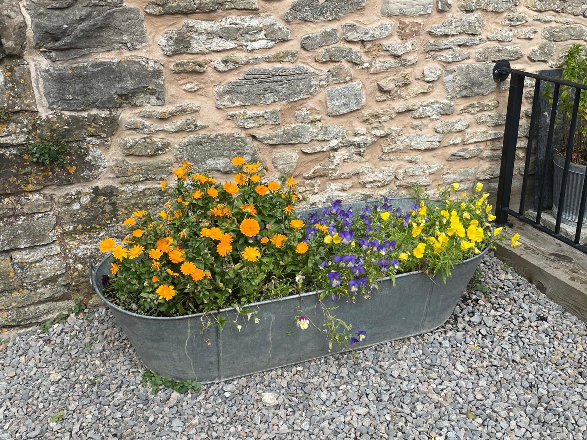 Acorn Cottage Ross-on-Wye Экстерьер фото